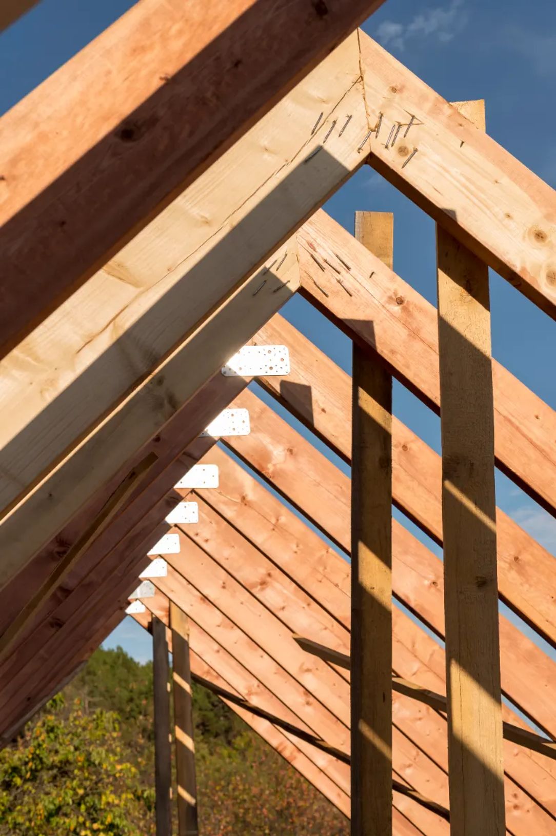 Close-up of new roof framing showing rafters and ridge connections